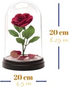 Enchanted Rose Light Paladone Disney Beauty and the Beast