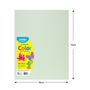 Cartulina 50 X 70cm 100pza POINTER Verde Caña