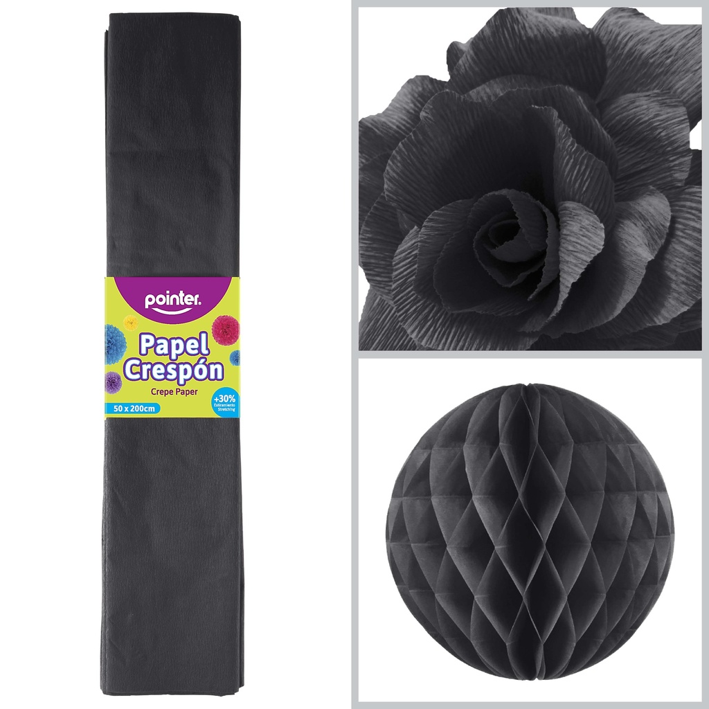 Papel Crespon Negro 10pza POINTER