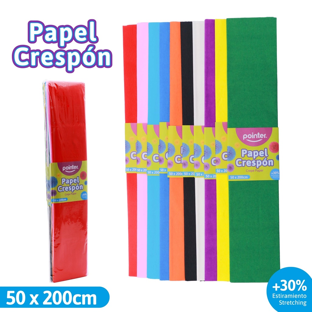 Papel Crespon Surtido 10pza POINTER