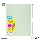 Cartulina 50 X 70cm 100pza POINTER Verde Caña