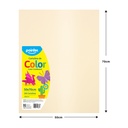 Cartulina 50 X 70cm 100pza POINTER Amarilla