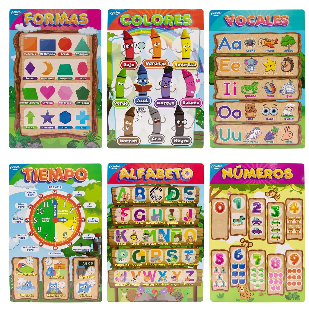 Laminas Educativas 6pza POINTER