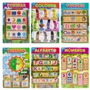 Laminas Educativas 6pza POINTER