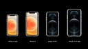 Iphone 12 Pro Max 6.7" Case