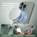 Iphone 12 Pro Max 6.7" Case with MagSafe