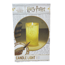 HARRY POTTER CANDLE LIGHT + WAND